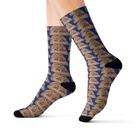 Bitcoin Ben St Louis Blue Sublimation Socks