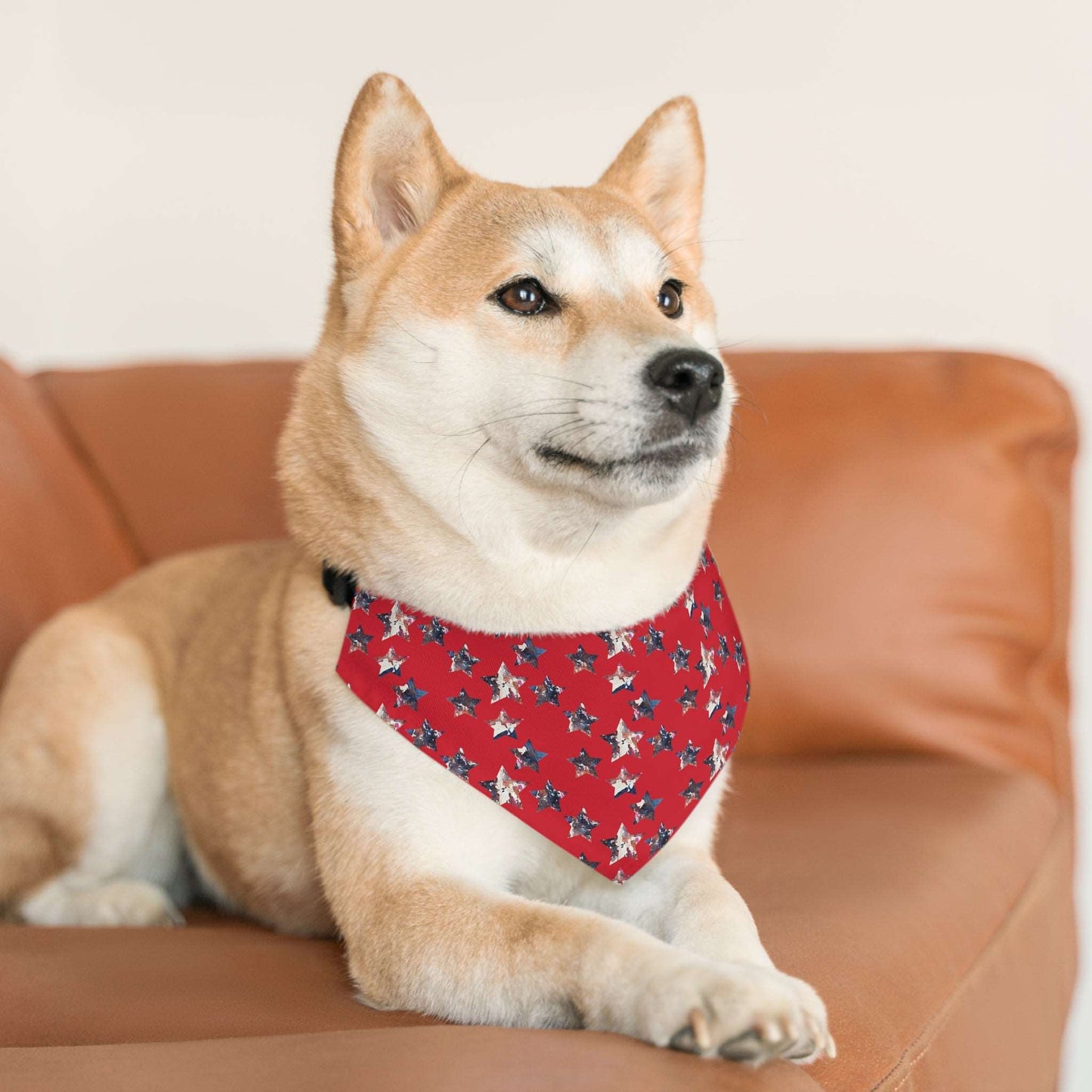 Americana Impressions Collection by Miniaday Designs, LLC. Red Pet Bandana Collar