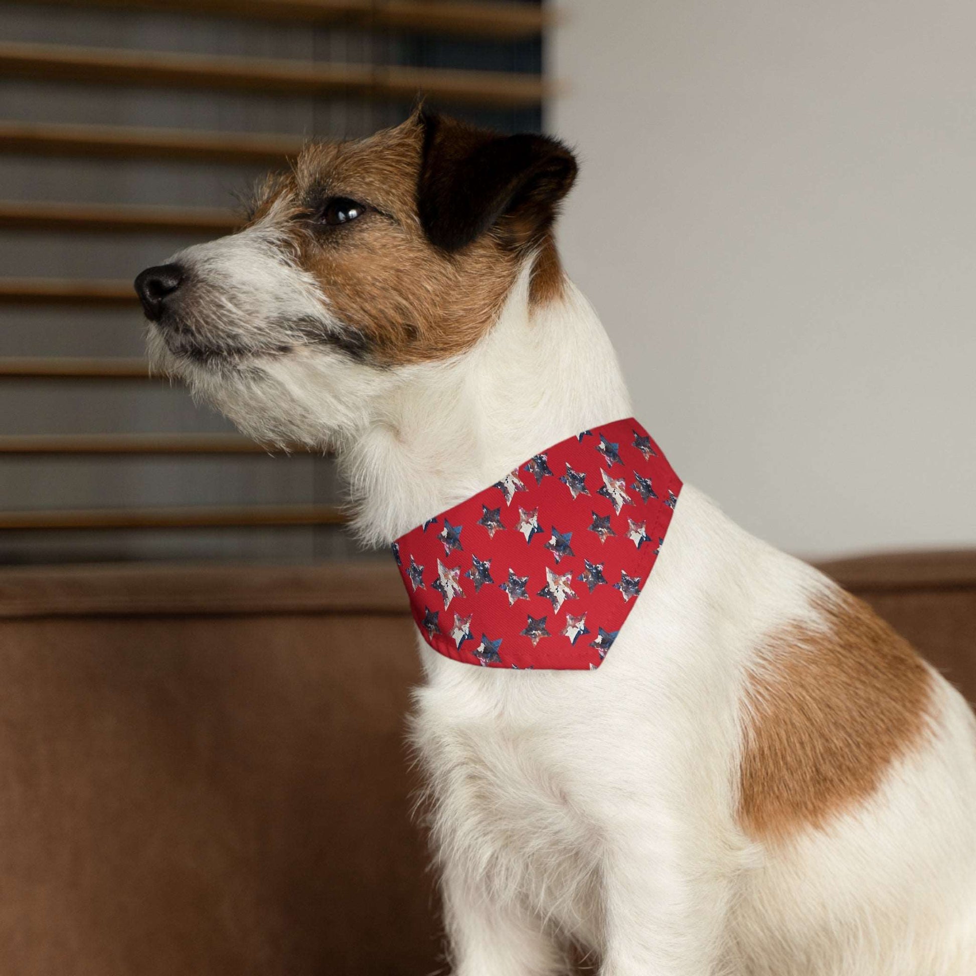 Americana Impressions Collection by Miniaday Designs, LLC. Red Pet Bandana Collar